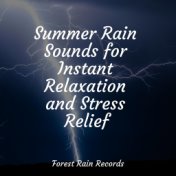 Summer Rain Sounds for Instant Relaxation and Stress Relief