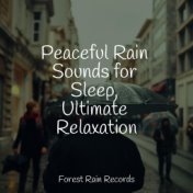 Peaceful Rain Sounds for Sleep, Ultimate Relaxation