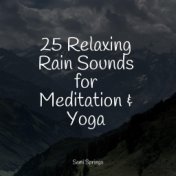 25 Relaxing Rain Sounds for Meditation & Yoga