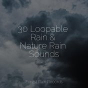 30 Loopable Rain & Nature Rain Sounds