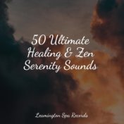 50 Ultimate Healing & Zen Serenity Sounds