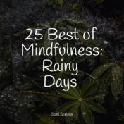 25 Best of Mindfulness: Rainy Days