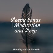 Sleepy Songs | Meditation and Sleep
