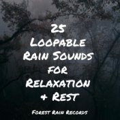 25 Loopable Rain Sounds for Relaxation & Rest