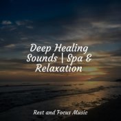 Deep Healing Sounds | Spa & Relaxation