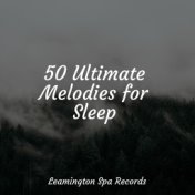 50 Ultimate Melodies for Sleep