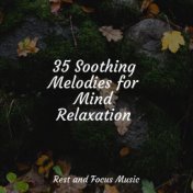 35 Soothing Melodies for Mind Relaxation