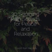 30 Soothing Rain Sounds for Peace and Relaxation
