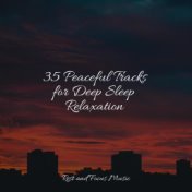 35 Peaceful Tracks for Deep Sleep Relaxation