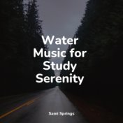 Water Music for Study Serenity