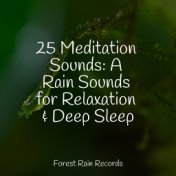 25 Meditation Sounds: A Rain Sounds for Relaxation & Deep Sleep