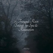 25 Tranquil Rain Sounds for Spa & Relaxation