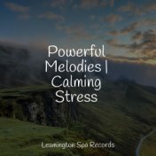 Powerful Melodies | Calming Stress