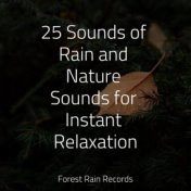 25 Sounds of Rain and Nature Sounds for Instant Relaxation