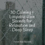 30 Calming & Loopable Rain Sounds for Relaxation and Deep Sleep