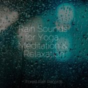 Rain Sounds for Yoga, Meditation & Relaxation