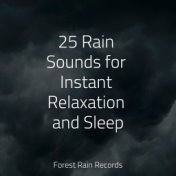 25 Rain Sounds for Instant Relaxation and Sleep