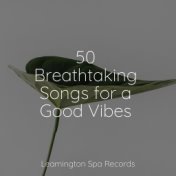 50 Breathtaking Songs for a Good Vibes