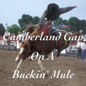 Cumberland Gap On A Buckin' Mule