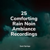 25 Comforting Rain Noin Ambiance Recordings