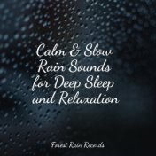 Calm & Slow Rain Sounds for Deep Sleep and Relaxation
