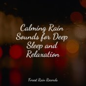 Calming Rain Sounds for Deep Sleep and Relaxation