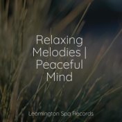 Relaxing Melodies | Peaceful Mind