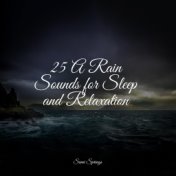 25 A Rain Sounds for Sleep and Relaxation
