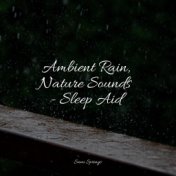 Ambient Rain, Nature Sounds - Sleep Aid