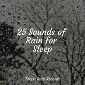 25 Sounds of Rain for Sleep