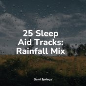 25 Sleep Aid Tracks: Rainfall Mix