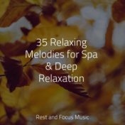 35 Relaxing Melodies for Spa & Deep Relaxation