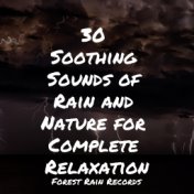 30 Soothing Sounds of Rain and Nature for Complete Relaxation