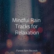 Mindful Rain Tracks for Relaxation