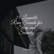 25 Loopable Rain Sounds for Sleep and Serenity