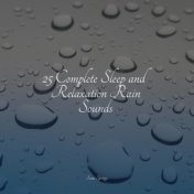 25 Complete Sleep and Relaxation Rain Sounds