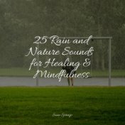 25 Rain and Nature Sounds for Healing & Mindfulness