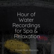 Hour of Water Recordings for Spa & Relaxation