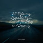 25 Relaxing Loopable Rain Sounds for Sleep and Serenity