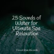 25 Sounds of Water for Ultimate Spa Relaxation