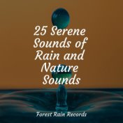 25 Serene Sounds of Rain and Nature Sounds