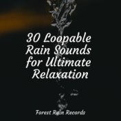 30 Loopable Rain Sounds for Ultimate Relaxation