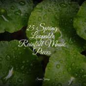 25 Spring Loopable Rainfall Music Pieces