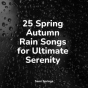 25 Spring Autumn Rain Songs for Ultimate Serenity