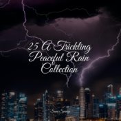 25 A Trickling Peaceful Rain Collection