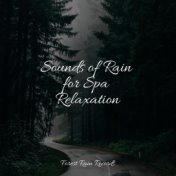 Sounds of Rain for Spa Relaxation