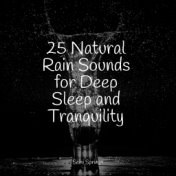 25 Natural Rain Sounds for Deep Sleep and Tranquility