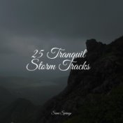 25 Tranquil Storm Tracks