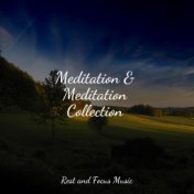 Meditation & Meditation Collection