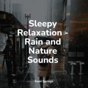 Sleepy Relaxation - Rain and Nature Sounds